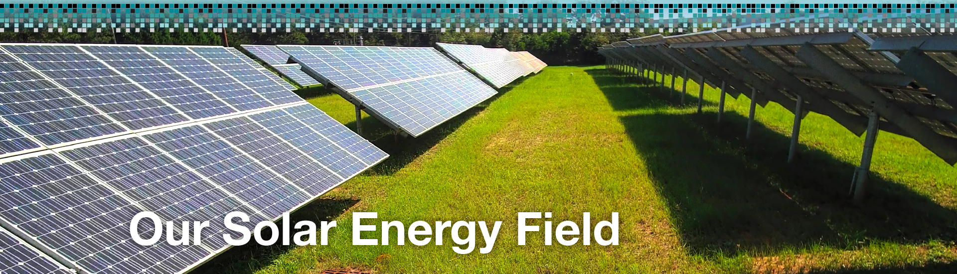 Our Solar Energy Field